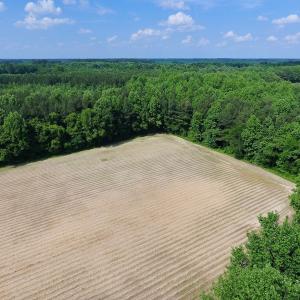 Photo of UNDER CONTRACT!  22.63 Acres of Farm and Hunting Land For Sale in Wilson County NC!