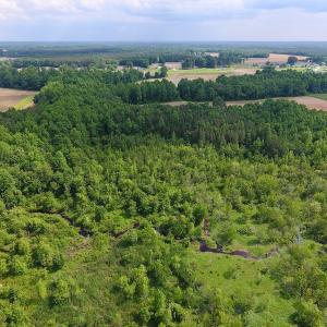 Photo of UNDER CONTRACT!  22.63 Acres of Farm and Hunting Land For Sale in Wilson County NC!