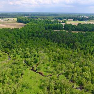 Photo of UNDER CONTRACT!  22.63 Acres of Farm and Hunting Land For Sale in Wilson County NC!