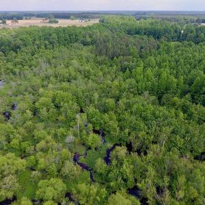 Photo of UNDER CONTRACT!  22.63 Acres of Farm and Hunting Land For Sale in Wilson County NC!