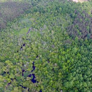 Photo of UNDER CONTRACT!  22.63 Acres of Farm and Hunting Land For Sale in Wilson County NC!