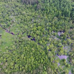 Photo of UNDER CONTRACT!  22.63 Acres of Farm and Hunting Land For Sale in Wilson County NC!
