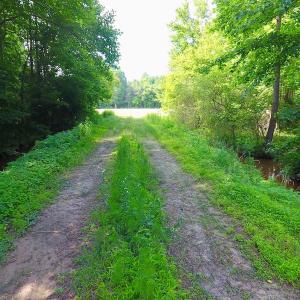 Photo of UNDER CONTRACT!  22.63 Acres of Farm and Hunting Land For Sale in Wilson County NC!