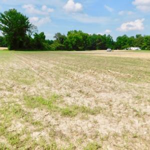 Photo of UNDER CONTRACT!  22.63 Acres of Farm and Hunting Land For Sale in Wilson County NC!