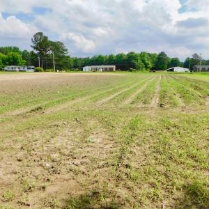 Photo of UNDER CONTRACT!  22.63 Acres of Farm and Hunting Land For Sale in Wilson County NC!