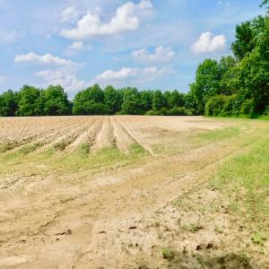 Photo of UNDER CONTRACT!  22.63 Acres of Farm and Hunting Land For Sale in Wilson County NC!