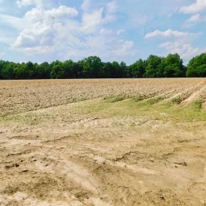 Photo of UNDER CONTRACT!  22.63 Acres of Farm and Hunting Land For Sale in Wilson County NC!