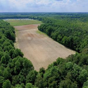 Photo of UNDER CONTRACT!  22.63 Acres of Farm and Hunting Land For Sale in Wilson County NC!