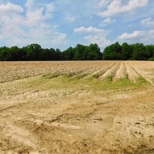 Photo of UNDER CONTRACT!  22.63 Acres of Farm and Hunting Land For Sale in Wilson County NC!