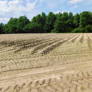 Photo of UNDER CONTRACT!  22.63 Acres of Farm and Hunting Land For Sale in Wilson County NC!