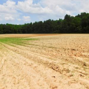 Photo of UNDER CONTRACT!  22.63 Acres of Farm and Hunting Land For Sale in Wilson County NC!