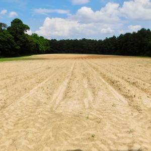 Photo of UNDER CONTRACT!  22.63 Acres of Farm and Hunting Land For Sale in Wilson County NC!
