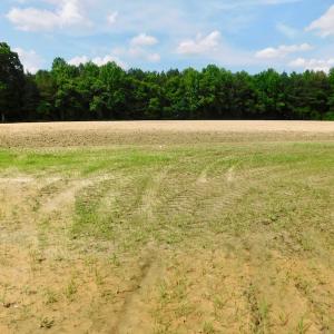 Photo of UNDER CONTRACT!  22.63 Acres of Farm and Hunting Land For Sale in Wilson County NC!