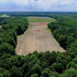 Photo of UNDER CONTRACT!  22.63 Acres of Farm and Hunting Land For Sale in Wilson County NC!