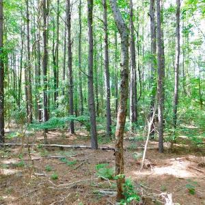 Photo of UNDER CONTRACT!  22.63 Acres of Farm and Hunting Land For Sale in Wilson County NC!
