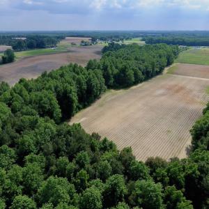 Photo of UNDER CONTRACT!  22.63 Acres of Farm and Hunting Land For Sale in Wilson County NC!