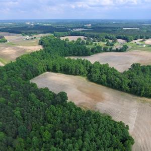 Photo of UNDER CONTRACT!  22.63 Acres of Farm and Hunting Land For Sale in Wilson County NC!