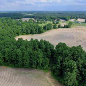 Photo of UNDER CONTRACT!  22.63 Acres of Farm and Hunting Land For Sale in Wilson County NC!