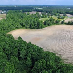 Photo of UNDER CONTRACT!  22.63 Acres of Farm and Hunting Land For Sale in Wilson County NC!