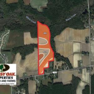 Photo of UNDER CONTRACT!  22.63 Acres of Farm and Hunting Land For Sale in Wilson County NC!