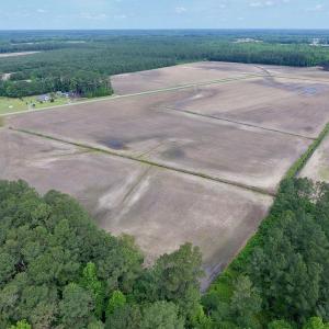 Photo of UNDER CONTRACT!  25.18 Acres of Farm Land For Sale in Wilson County NC!