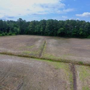 Photo of UNDER CONTRACT!  25.18 Acres of Farm Land For Sale in Wilson County NC!