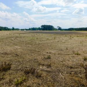 Photo of UNDER CONTRACT!  25.18 Acres of Farm Land For Sale in Wilson County NC!