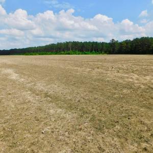 Photo of UNDER CONTRACT!  25.18 Acres of Farm Land For Sale in Wilson County NC!