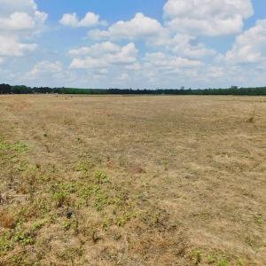 Photo of UNDER CONTRACT!  25.18 Acres of Farm Land For Sale in Wilson County NC!