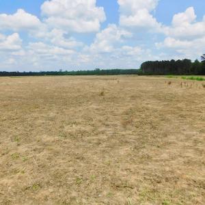 Photo of UNDER CONTRACT!  25.18 Acres of Farm Land For Sale in Wilson County NC!
