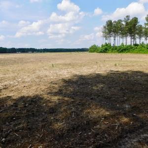 Photo of UNDER CONTRACT!  25.18 Acres of Farm Land For Sale in Wilson County NC!