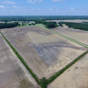 Photo of UNDER CONTRACT!  25.18 Acres of Farm Land For Sale in Wilson County NC!