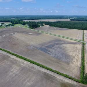 Photo of UNDER CONTRACT!  25.18 Acres of Farm Land For Sale in Wilson County NC!