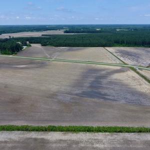 Photo of UNDER CONTRACT!  25.18 Acres of Farm Land For Sale in Wilson County NC!