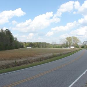 Photo of UNDER CONTRACT!  75 Acres of Farm and Timber Land For Sale in Columbus County NC!