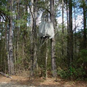 Photo of UNDER CONTRACT!  75 Acres of Farm and Timber Land For Sale in Columbus County NC!