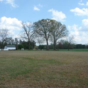 Photo of UNDER CONTRACT!  75 Acres of Farm and Timber Land For Sale in Columbus County NC!