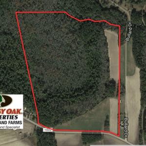 Photo of UNDER CONTRACT!  75 Acres of Farm and Timber Land For Sale in Columbus County NC!