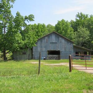 Photo of UNDER CONTRACT!  20.46 Acres of Pasture and Timber Land For Sale in Columbus County NC!