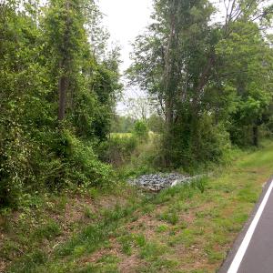 Photo of UNDER CONTRACT!  20.46 Acres of Pasture and Timber Land For Sale in Columbus County NC!