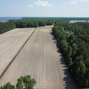 Photo of UNDER CONTRACT!  22.5 Acres of Waterfront Residential Farm Land For Sale in Currituck County NC!
