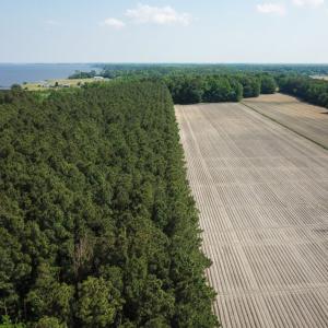 Photo of UNDER CONTRACT!  22.5 Acres of Waterfront Residential Farm Land For Sale in Currituck County NC!