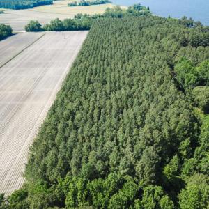 Photo of UNDER CONTRACT!  22.5 Acres of Waterfront Residential Farm Land For Sale in Currituck County NC!