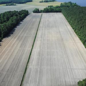 Photo of UNDER CONTRACT!  22.5 Acres of Waterfront Residential Farm Land For Sale in Currituck County NC!