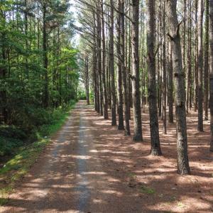 Photo of UNDER CONTRACT!  22.5 Acres of Waterfront Residential Farm Land For Sale in Currituck County NC!