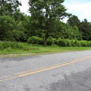 Photo of UNDER CONTRACT!  13 Acres of Rural Residential Land For Sale in Pitt County NC!