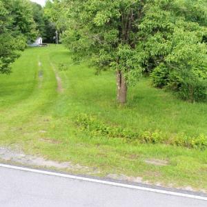 Photo of UNDER CONTRACT!  13 Acres of Rural Residential Land For Sale in Pitt County NC!