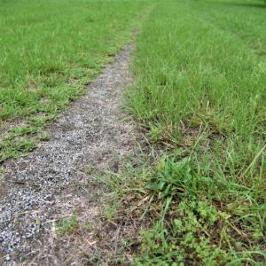 Photo of UNDER CONTRACT!  13 Acres of Rural Residential Land For Sale in Pitt County NC!