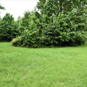 Photo of UNDER CONTRACT!  13 Acres of Rural Residential Land For Sale in Pitt County NC!
