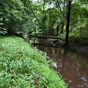 Photo of UNDER CONTRACT!  13 Acres of Rural Residential Land For Sale in Pitt County NC!